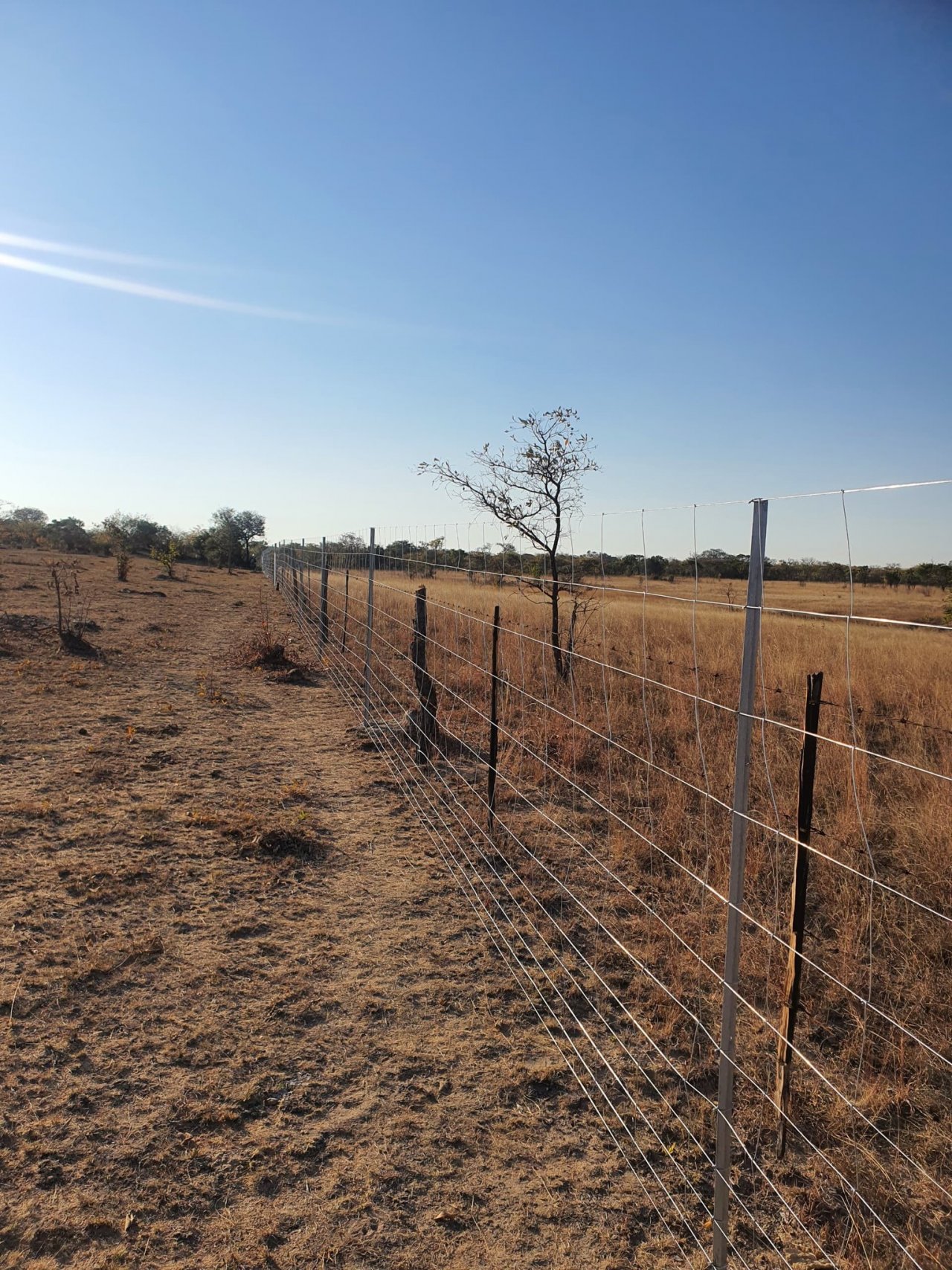 The Zimbabwe government has indeed introduced a system using soft data forms to simplify the process of obtaining title deeds for farmers