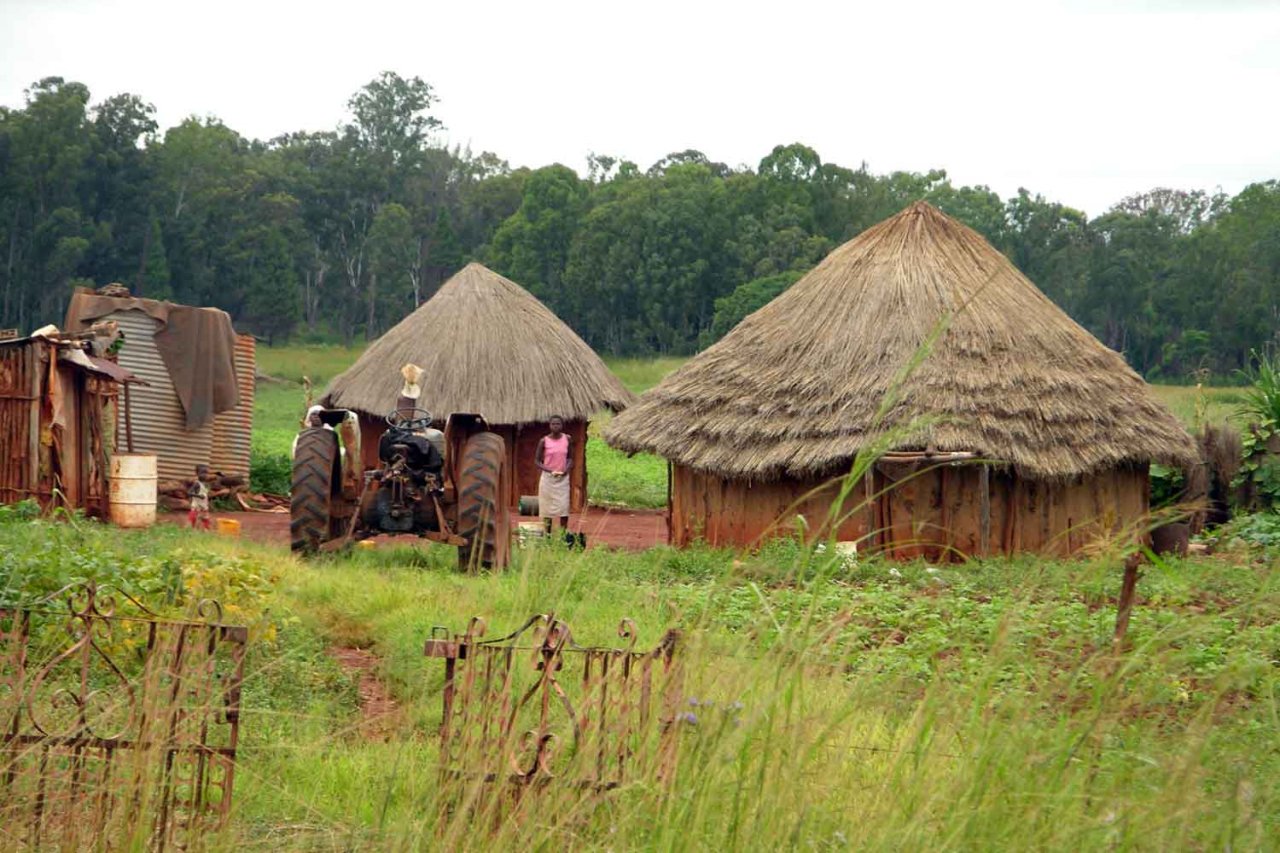 Tobacco Farmers ,here is how much you could pay for not clearing your crop residues