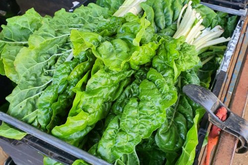 Dear Young Entrepreneur-Agroprenuer  : the formalisation song