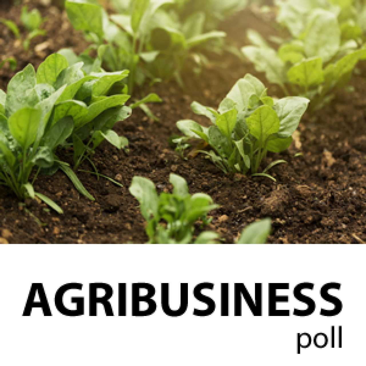 how to do a soil slake test and what it means