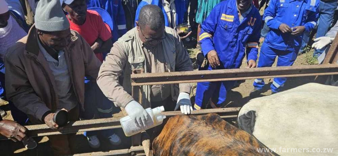 Zimbabwe launches a Digital Livestock Stock Card to Modernise Farming Sector