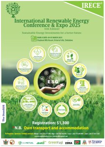 The Renewable Eneryg Conference 2025